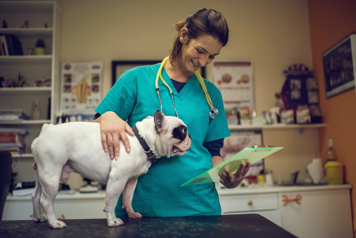 HIPAA-Like Protections Are Also In Place For Pets